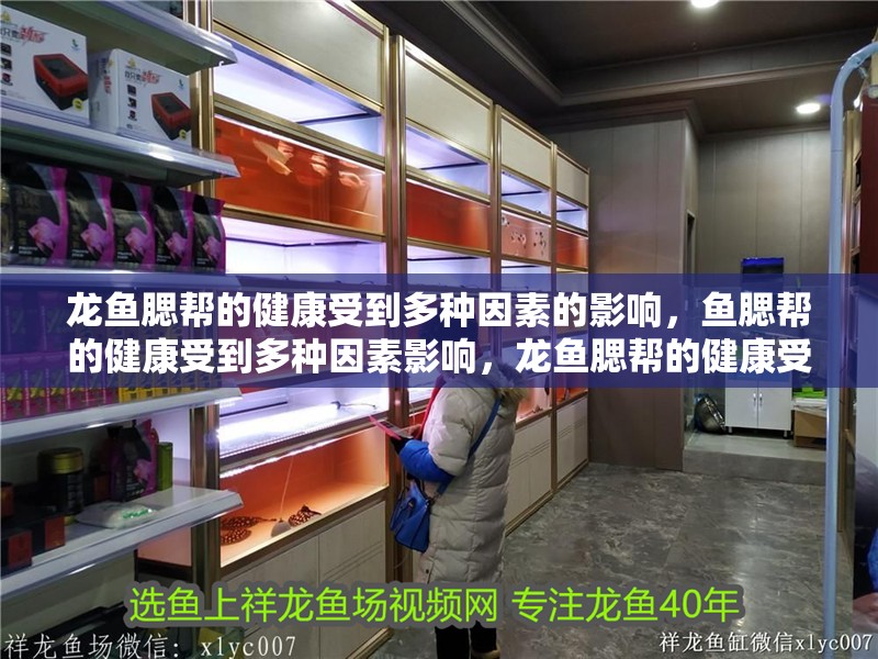龍魚腮幫的健康受到多種因素的影響，魚腮幫的健康受到多種因素影響，龍魚腮幫的健康受到多種因素影響