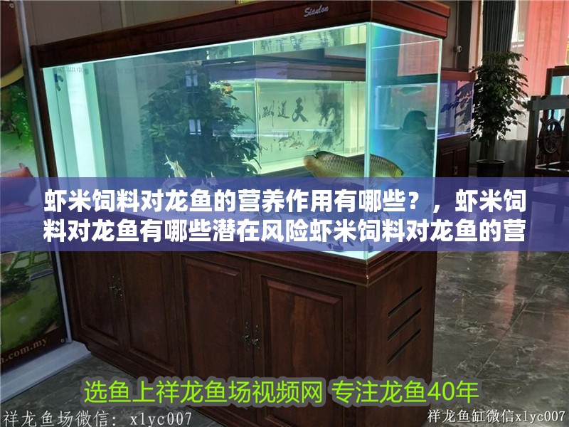 蝦米飼料對龍魚的營養作用有哪些？，蝦米飼料對龍魚有哪些潛在風險蝦米飼料對龍魚的營養作用