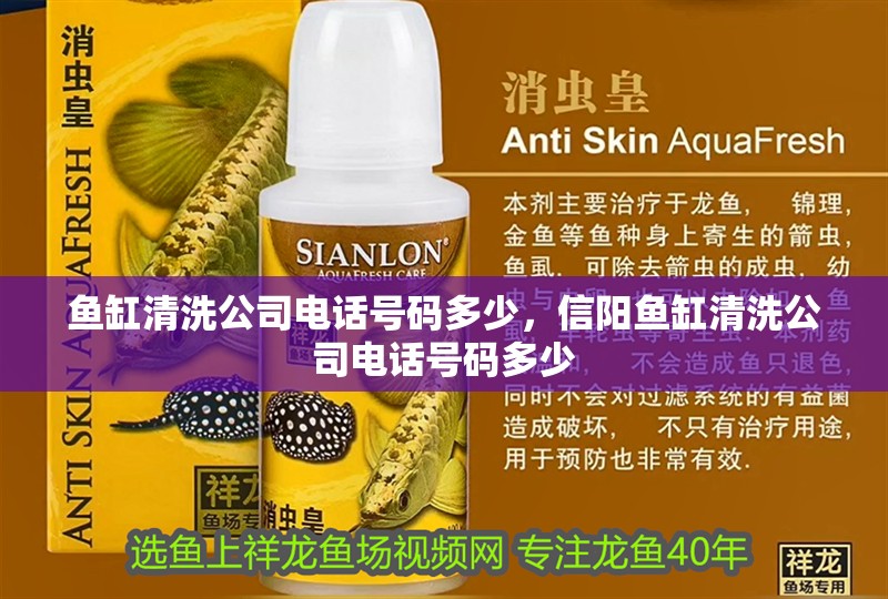 魚缸清洗公司電話號碼多少，信陽魚缸清洗公司電話號碼多少