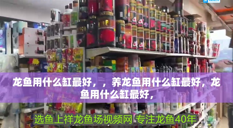 龍魚用什么缸最好，，養龍魚用什么缸最好，龍魚用什么缸最好，