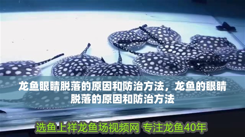 龍魚眼睛脫落的原因和防治方法，龍魚的眼睛脫落的原因和防治方法