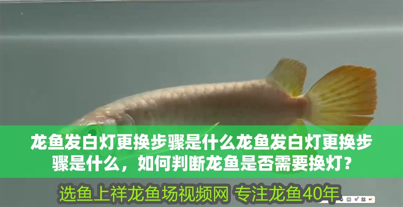 龍魚發白燈更換步驟是什么龍魚發白燈更換步驟是什么，如何判斷龍魚是否需要換燈？