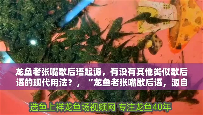 龍魚老張嘴歇后語起源，有沒有其他類似歇后語的現代用法？，“龍魚老張嘴歇后語，源自中國民間的一句俗語，意指某人說話或做事時過于夸張、不實際
