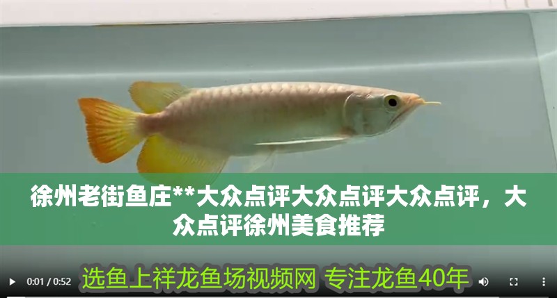 徐州老街魚莊**大眾點評大眾點評大眾點評，大眾點評徐州美食推薦