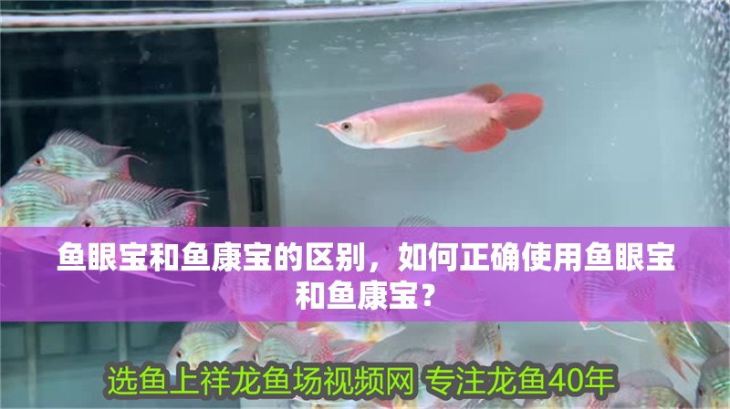魚眼寶和魚康寶的區別，如何正確使用魚眼寶和魚康寶？