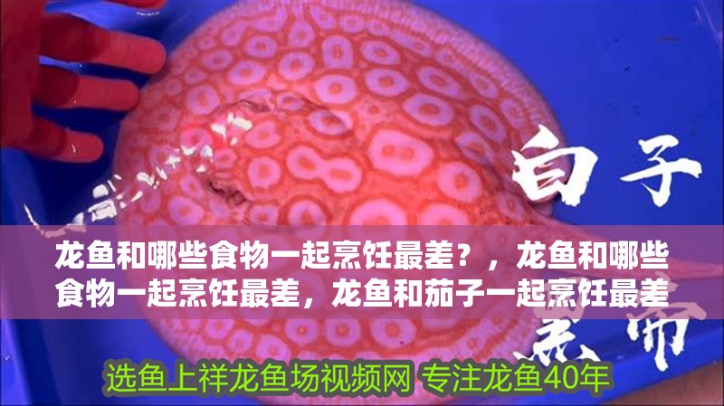 龍魚和哪些食物一起烹飪最差？，龍魚和哪些食物一起烹飪最差，龍魚和茄子一起烹飪最差