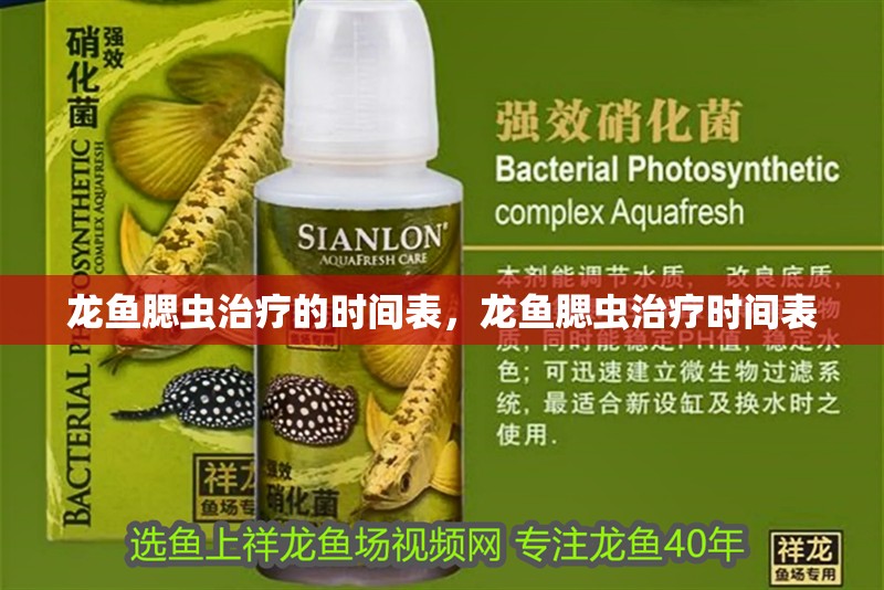 龍魚腮蟲治療的時間表，龍魚腮蟲治療時間表