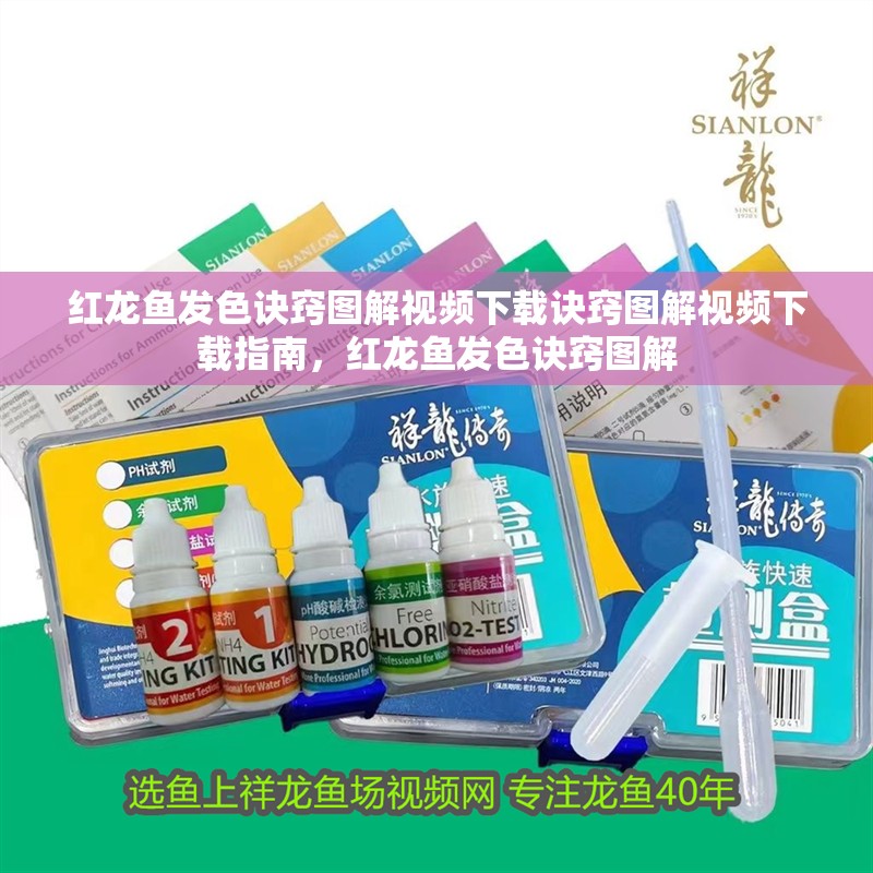 紅龍魚發色訣竅圖解視頻下載訣竅圖解視頻下載指南，紅龍魚發色訣竅圖解 紅龍魚發色訣竅圖解視頻下載訣竅圖解視頻下載指南，紅龍魚發色訣竅圖解 觀賞魚百科