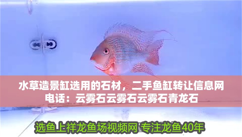 水草造景缸選用的石材，二手魚缸轉讓信息網電話：云霧石云霧石云霧石青龍石