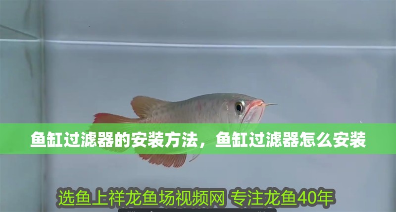魚缸過濾器的安裝方法，魚缸過濾器怎么安裝