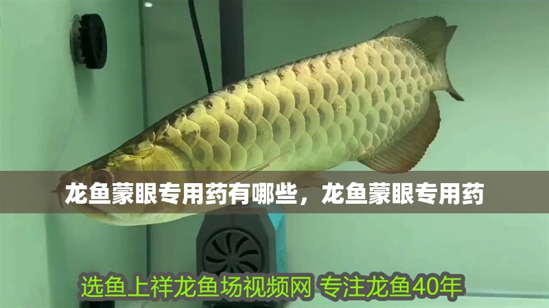 龍魚蒙眼專用藥有哪些，龍魚蒙眼專用藥