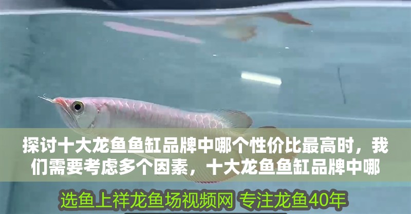 探討十大龍魚魚缸品牌中哪個性價比最高時，我們需要考慮多個因素，十大龍魚魚缸品牌中哪個品牌口碑最好？