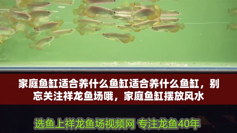 家庭魚缸適合養什么魚缸適合養什么魚缸，別忘關注祥龍魚場哦，家庭魚缸擺放風水