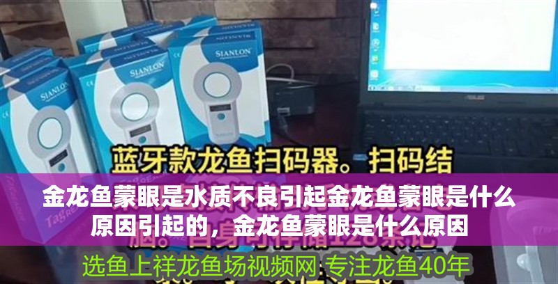 金龍魚蒙眼是水質不良引起金龍魚蒙眼是什么原因引起的，金龍魚蒙眼是什么原因