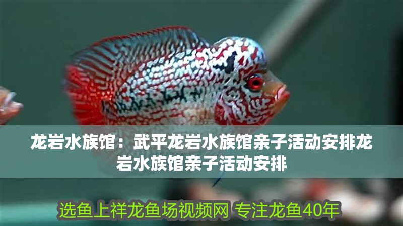 龍巖水族館：武平龍巖水族館親子活動安排龍巖水族館親子活動安排