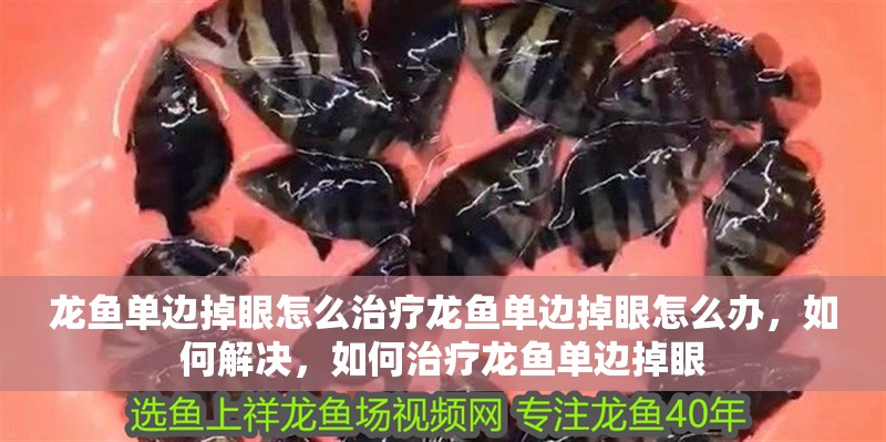 龍魚單邊掉眼怎么治療龍魚單邊掉眼怎么辦，如何解決，如何治療龍魚單邊掉眼