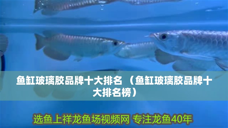 魚缸玻璃膠品牌十大排名 （魚缸玻璃膠品牌十大排名榜）