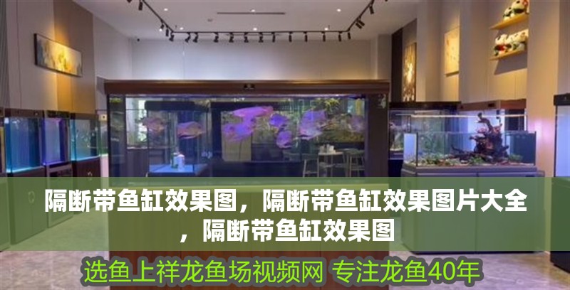 隔斷帶魚缸效果圖，隔斷帶魚缸效果圖片大全，隔斷帶魚缸效果圖