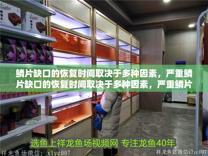 鱗片缺口的恢復時間取決于多種因素，嚴重鱗片缺口的恢復時間取決于多種因素，嚴重鱗片缺口恢復期間需要注意什么？