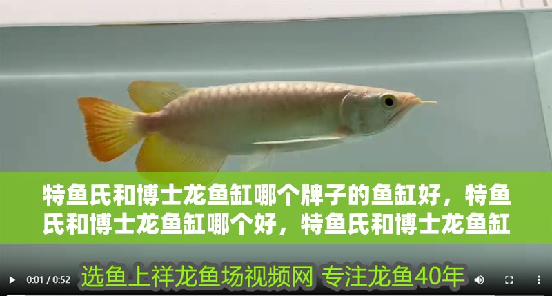 特魚氏和博士龍魚缸哪個牌子的魚缸好，特魚氏和博士龍魚缸哪個好，特魚氏和博士龍魚缸哪個好