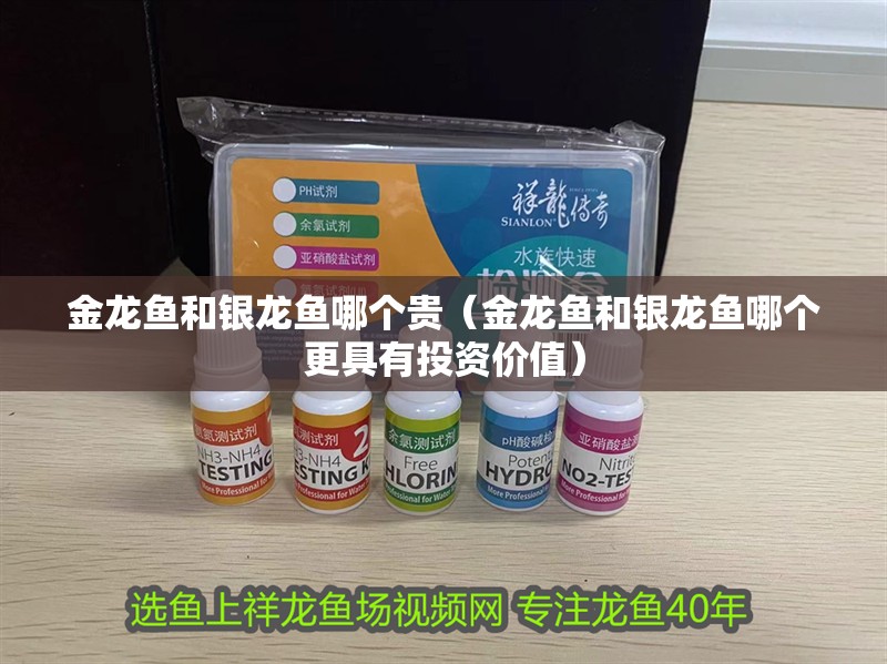 金龍魚和銀龍魚哪個貴（金龍魚和銀龍魚哪個更具有投資價值）