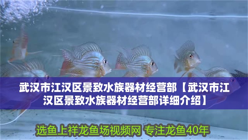 武漢市江漢區景致水族器材經營部【武漢市江漢區景致水族器材經營部詳細介紹】