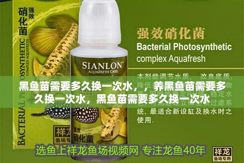 黑魚苗需要多久換一次水，，養(yǎng)黑魚苗需要多久換一次水，黑魚苗需要多久換一次水