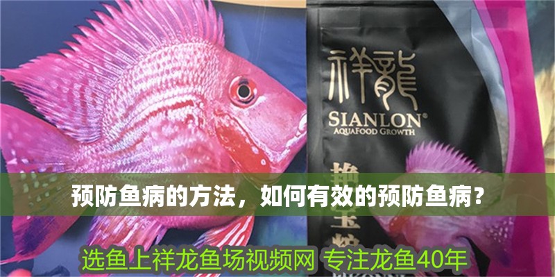 預(yù)防魚病的方法，如何有效的預(yù)防魚病？