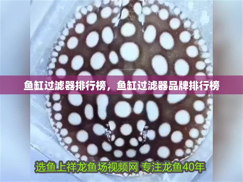 魚缸過濾器排行榜，魚缸過濾器品牌排行榜 魚缸過濾器排行榜，魚缸過濾器品牌排行榜 觀賞魚百科