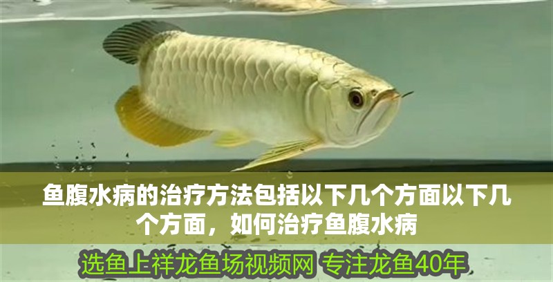 魚腹水病的治療方法包括以下幾個方面以下幾個方面，如何治療魚腹水病