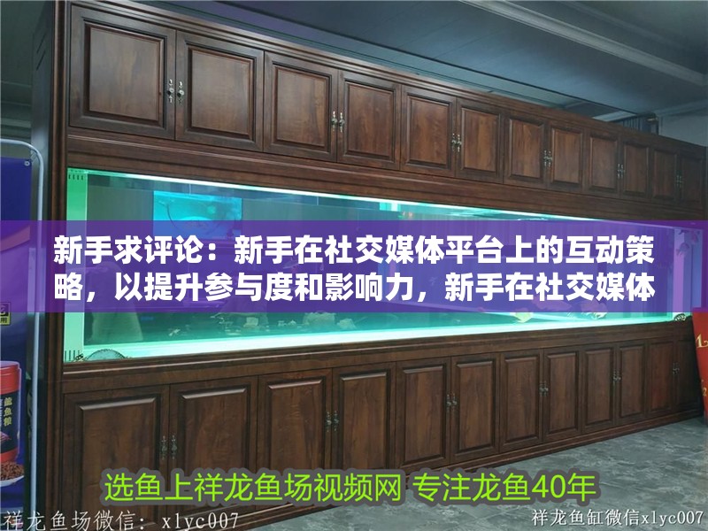新手求評論：新手在社交媒體平臺上的互動策略，以提升參與度和影響力，新手在社交媒體上的互動策略