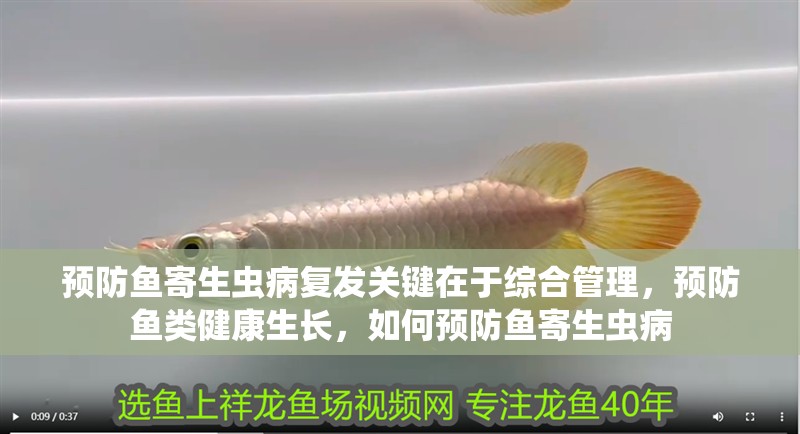 預防魚寄生蟲病復發關鍵在于綜合管理，預防魚類健康生長，如何預防魚寄生蟲病
