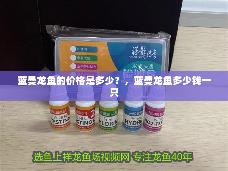 藍(lán)曼龍魚的價(jià)格是多少？，藍(lán)曼龍魚多少錢一只