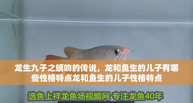 龍生九子之螭吻的傳說，龍和魚生的兒子有哪些性格特點龍和魚生的兒子性格特點