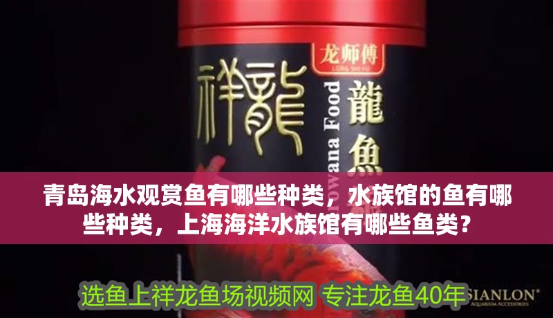 青島海水觀賞魚有哪些種類，水族館的魚有哪些種類，上海海洋水族館有哪些魚類？