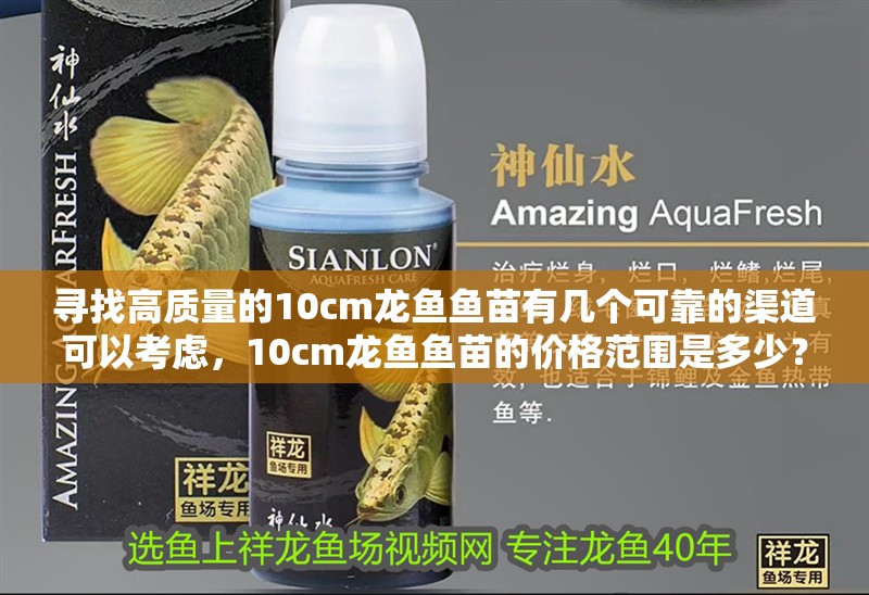 尋找高質量的10cm龍魚魚苗有幾個可靠的渠道可以考慮，10cm龍魚魚苗的價格范圍是多少？