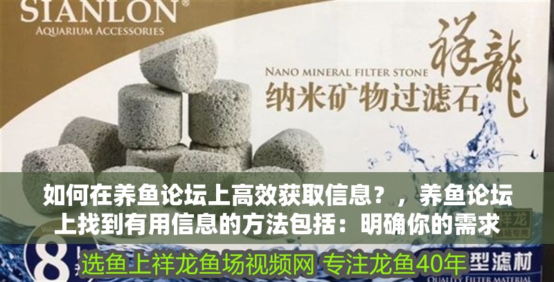 如何在養(yǎng)魚論壇上高效獲取信息？，養(yǎng)魚論壇上找到有用信息的方法包括：明確你的需求