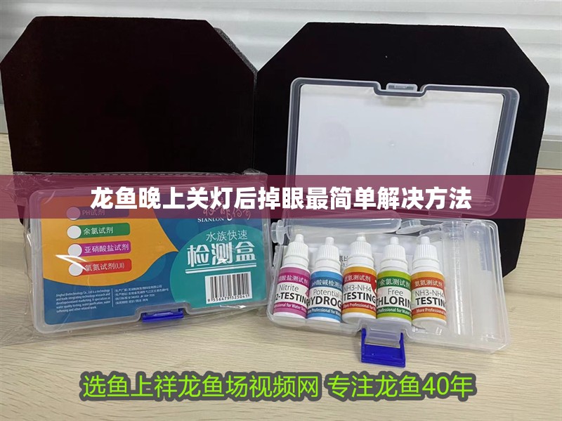 龍魚晚上關燈后掉眼最簡單解決方法 龍魚晚上關燈后掉眼最簡單解決方法 觀賞魚百科 第4張