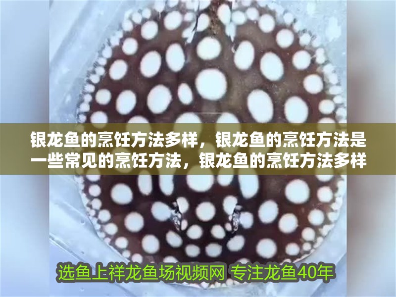 銀龍魚的烹飪方法多樣，銀龍魚的烹飪方法是一些常見的烹飪方法，銀龍魚的烹飪方法多樣