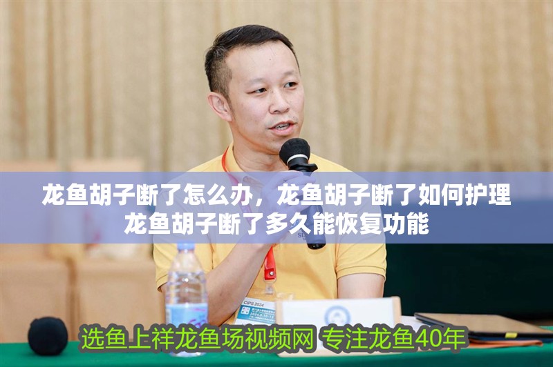龍魚胡子斷了怎么辦，龍魚胡子斷了如何護理龍魚胡子斷了多久能恢復功能
