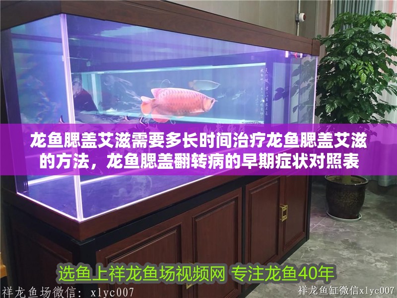 龍魚腮蓋艾滋需要多長時間治療龍魚腮蓋艾滋的方法，龍魚腮蓋翻轉病的早期癥狀對照表