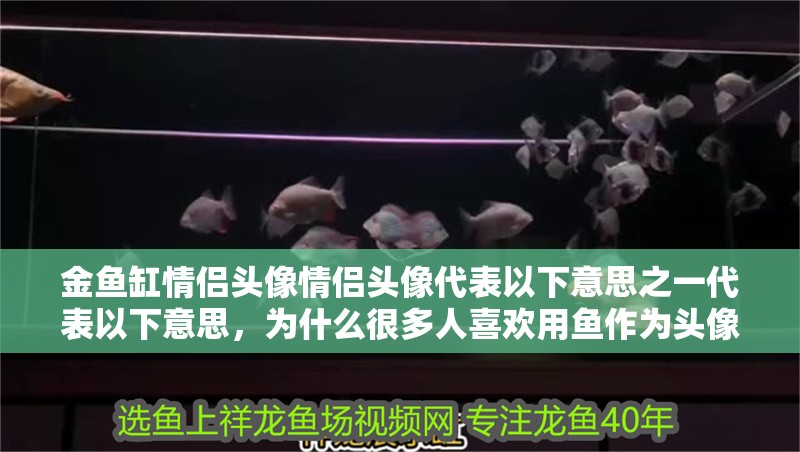 金魚缸情侶頭像情侶頭像代表以下意思之一代表以下意思，為什么很多人喜歡用魚作為頭像？