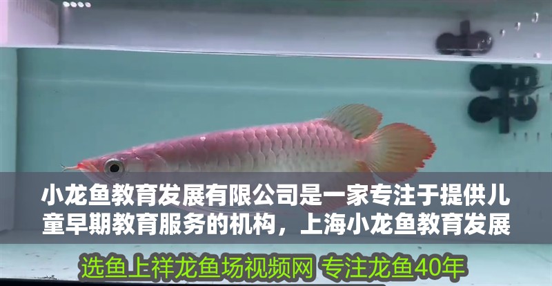小龍魚教育發(fā)展有限公司是一家專注于提供兒童早期教育服務(wù)的機(jī)構(gòu)，上海小龍魚教育發(fā)展有限公司