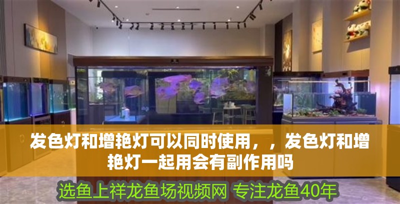 發色燈和增艷燈可以同時使用，，發色燈和增艷燈一起用會有副作用嗎