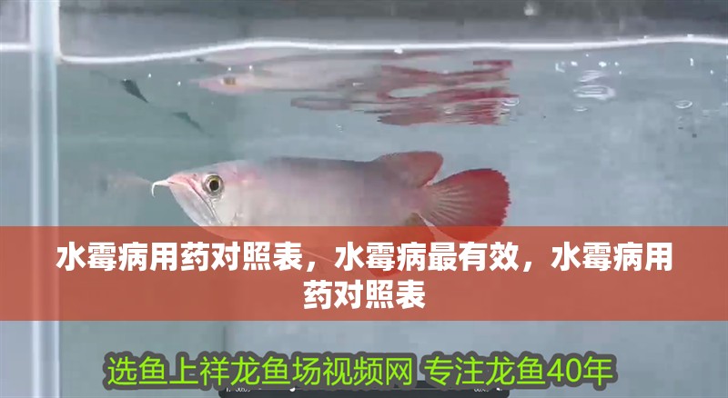 水霉病用藥對照表，水霉病最有效，水霉病用藥對照表