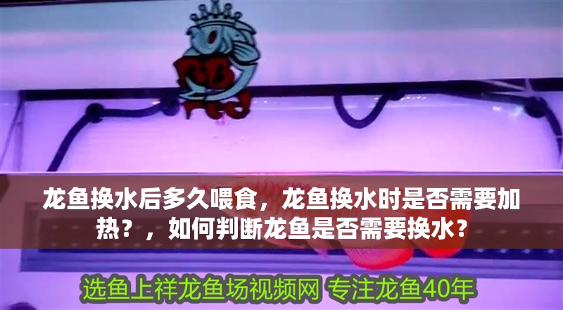 龍魚換水后多久喂食，龍魚換水時是否需要加熱？，如何判斷龍魚是否需要換水？