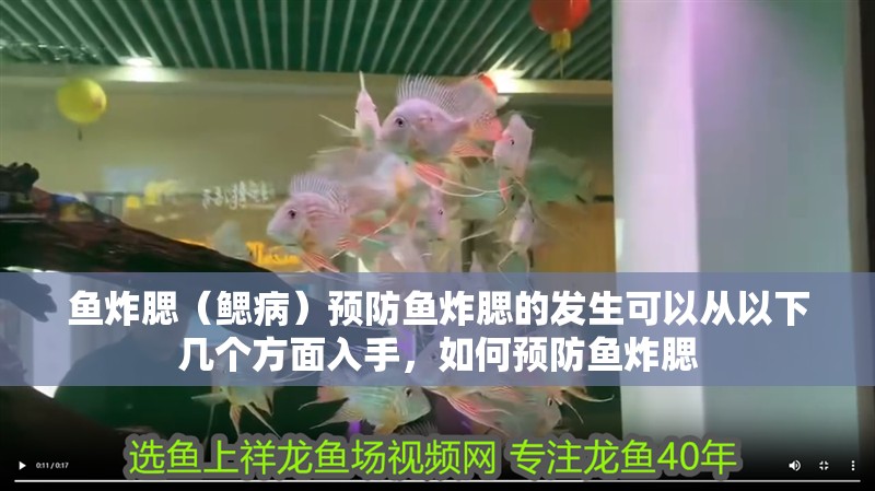 魚炸腮（鰓?。╊A防魚炸腮的發生可以從以下幾個方面入手，如何預防魚炸腮