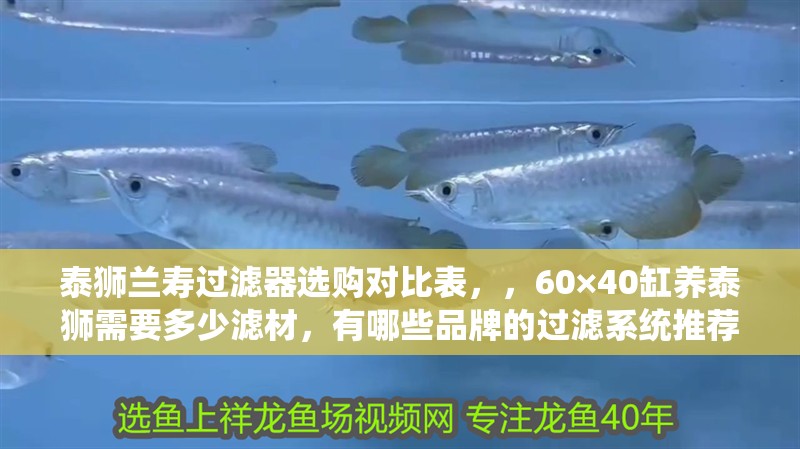 泰獅蘭壽過濾器選購對比表，，60×40缸養泰獅需要多少濾材，有哪些品牌的過濾系統推薦？
