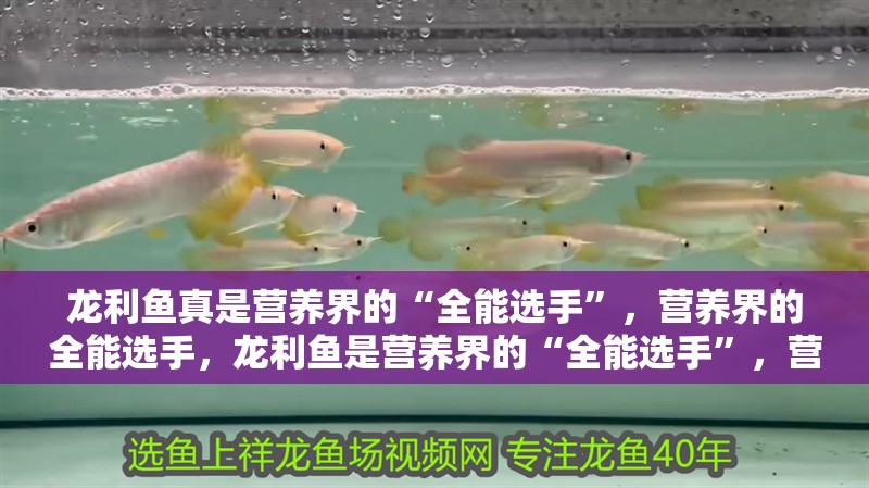 龍利魚真是營養界的“全能選手”，營養界的全能選手，龍利魚是營養界的“全能選手”，營養界的“全能選手”