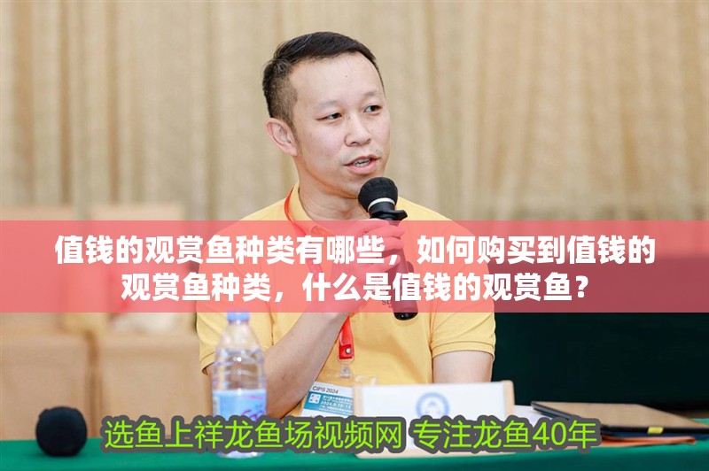 值錢的觀賞魚種類有哪些,如何購買到值錢的觀賞魚種類,什么是值錢的觀賞魚? 觀賞魚百科 第2張 值錢的觀賞魚種類有哪些,如何購買到值錢的觀賞魚種類,什么是值錢的觀賞魚? 值錢的觀賞魚種類有哪些,如何購買到值錢的觀賞魚種類,什么是值錢的觀賞魚? 觀賞魚百科 第2張